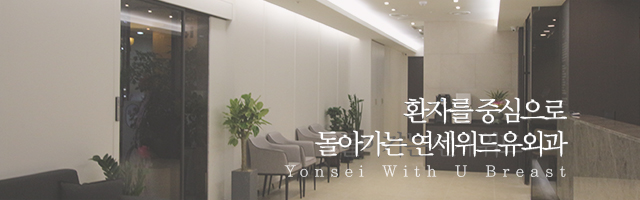 서브비주얼